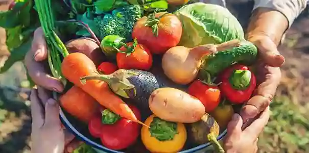 Producteurs - Restaurant L'Entre Deux - Restaurant gastronomique Moret sur Loing - top resto NEMOURS