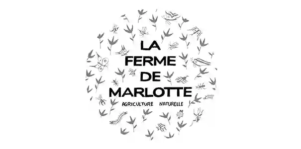 Producteurs - Restaurant L'Entre Deux - Restaurant gastronomique Moret sur Loing - top restaurant NEMOURS